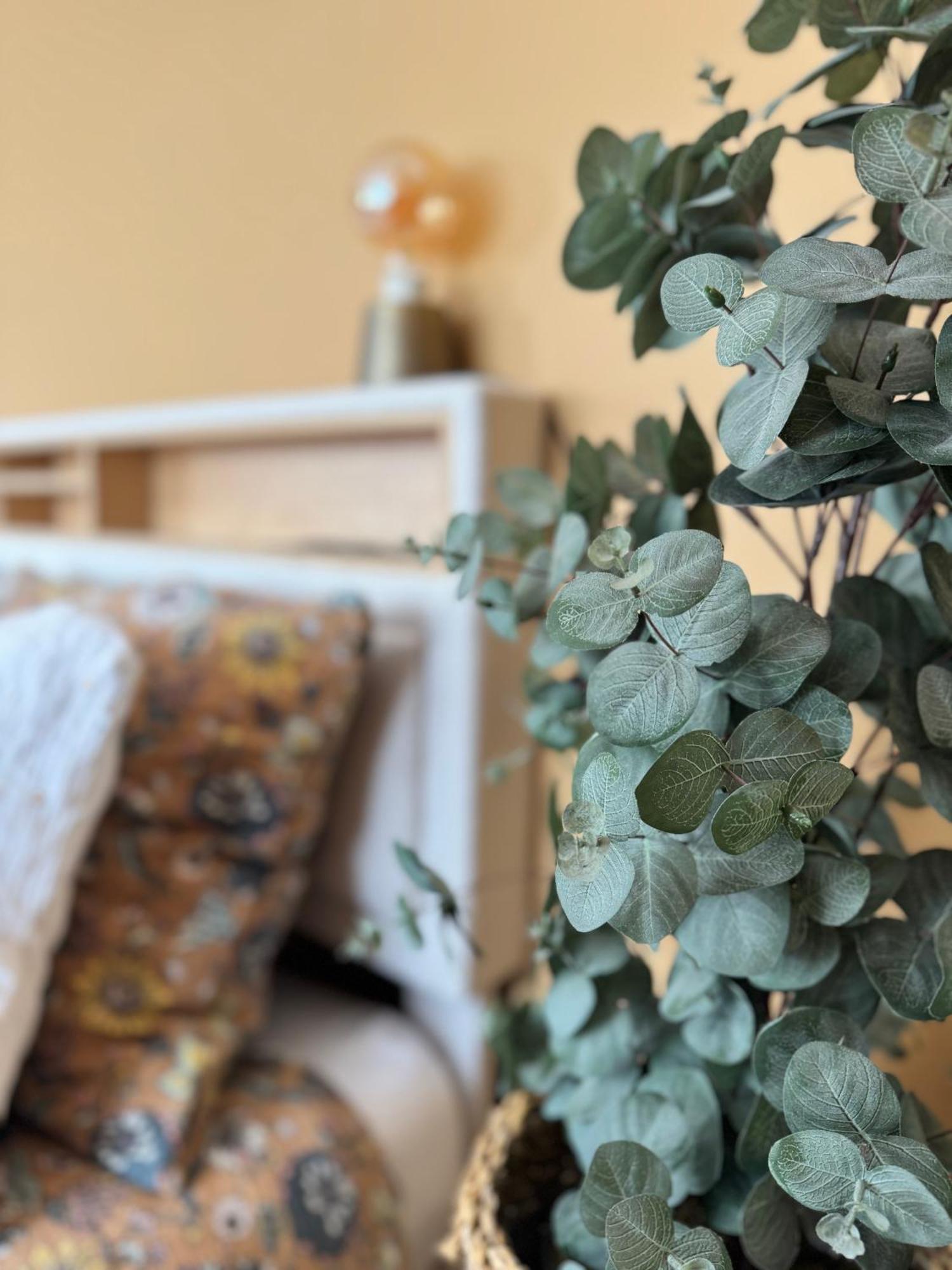 Studio La Petite Oasis- Ideal Couple - Calme - Balcon Sud - Lumineux - 10Min Du Centre & Plage - Proche Centre Juno Beach - Wifi Courseulles-sur-Mer Extérieur photo